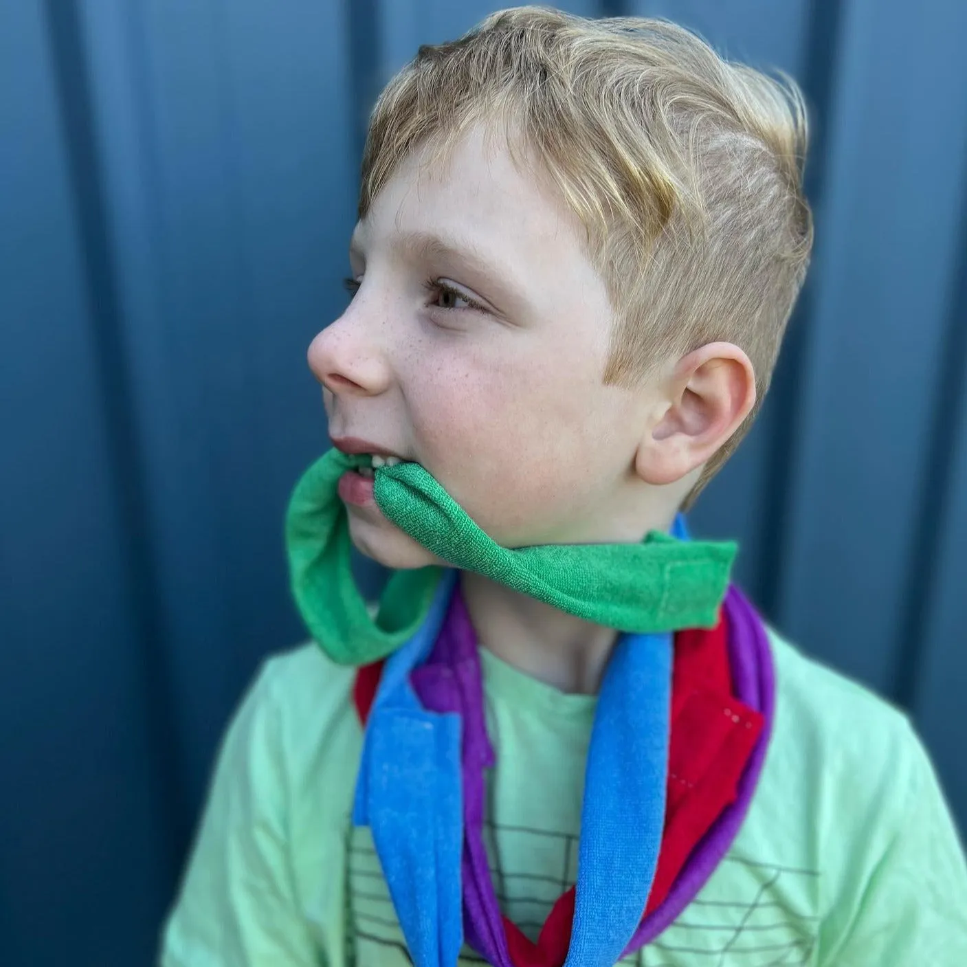 4 Pack Bite Chew Sensory Fabric Bands