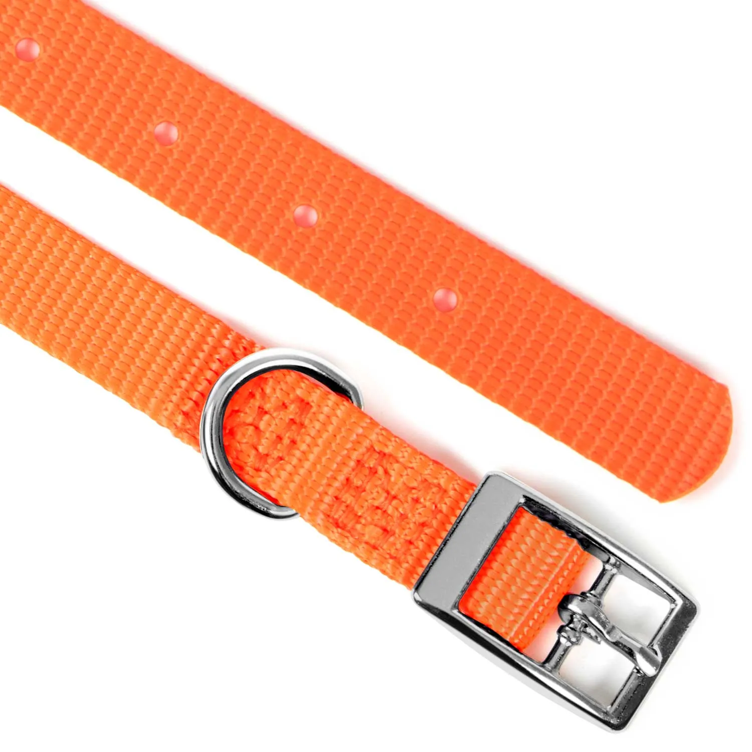 5/8"W Jeffers Nylon Dog Collar, 10"L