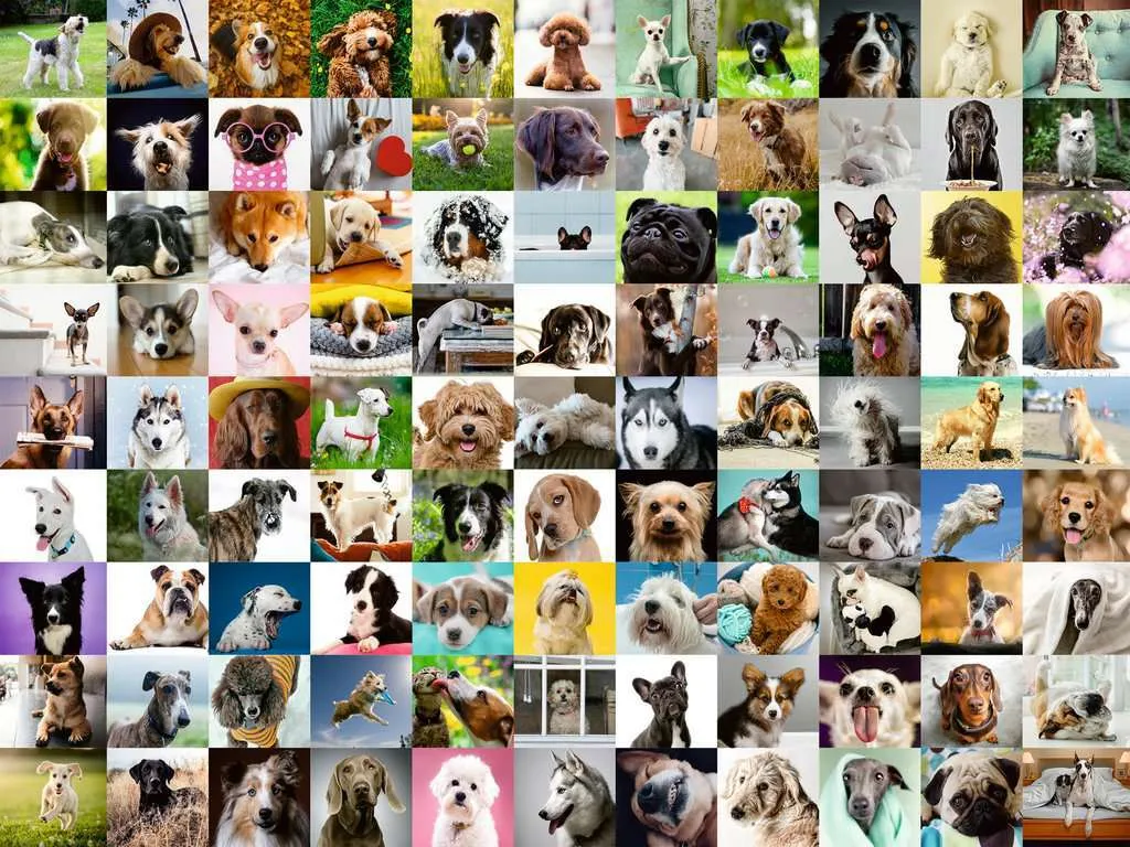 99 Lovable Dogs (750 pc Large Format Puzzle)