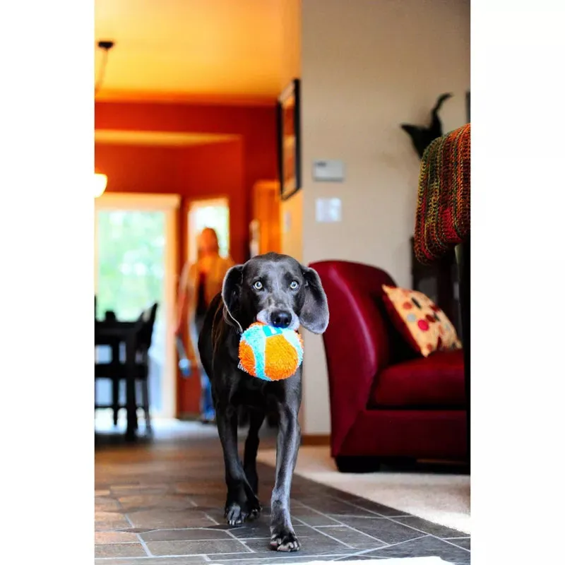 Chuckit! Dog Toy Ball Indoor