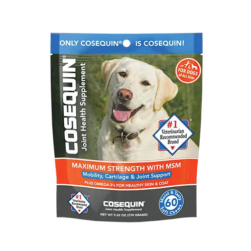 COSEQUIN® Maximum Strength with MSM Plus Omega-3’s Soft Chew