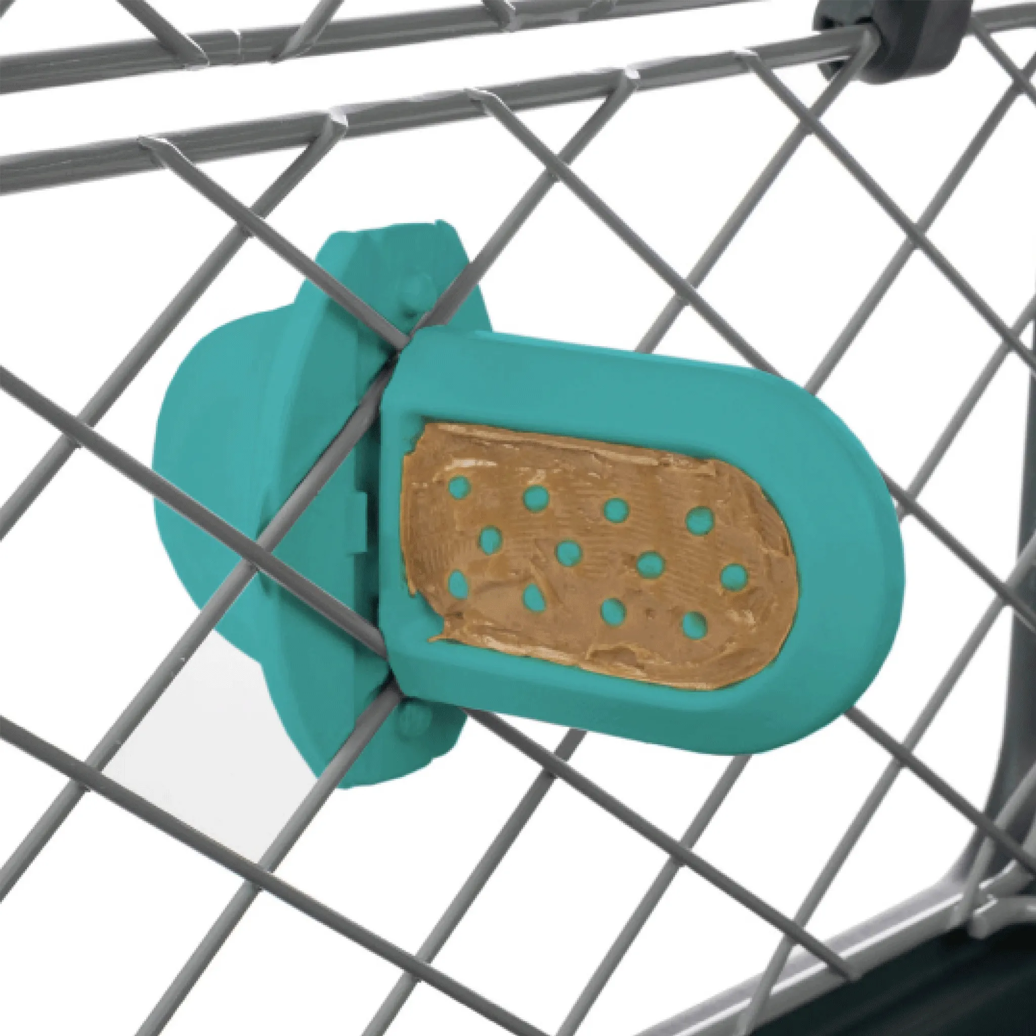 Diggs Groov Crate Training Aid - Turquoise