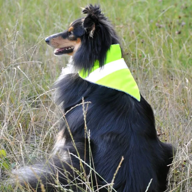 Dimples - Hi-Vis Reflective Bandana