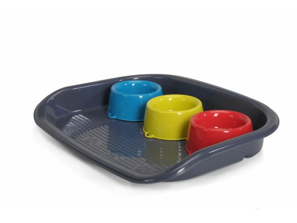 Food Tray With 3 Bowls