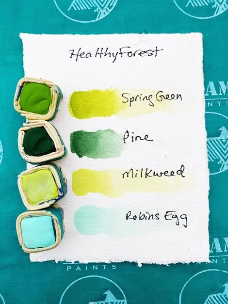 Healthy Forest Shell Watercolor Set