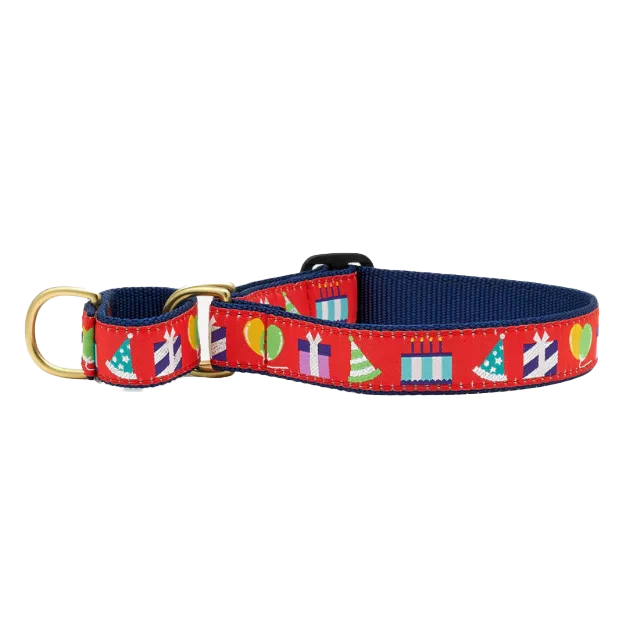 Martingale Collar | Birthday Gift