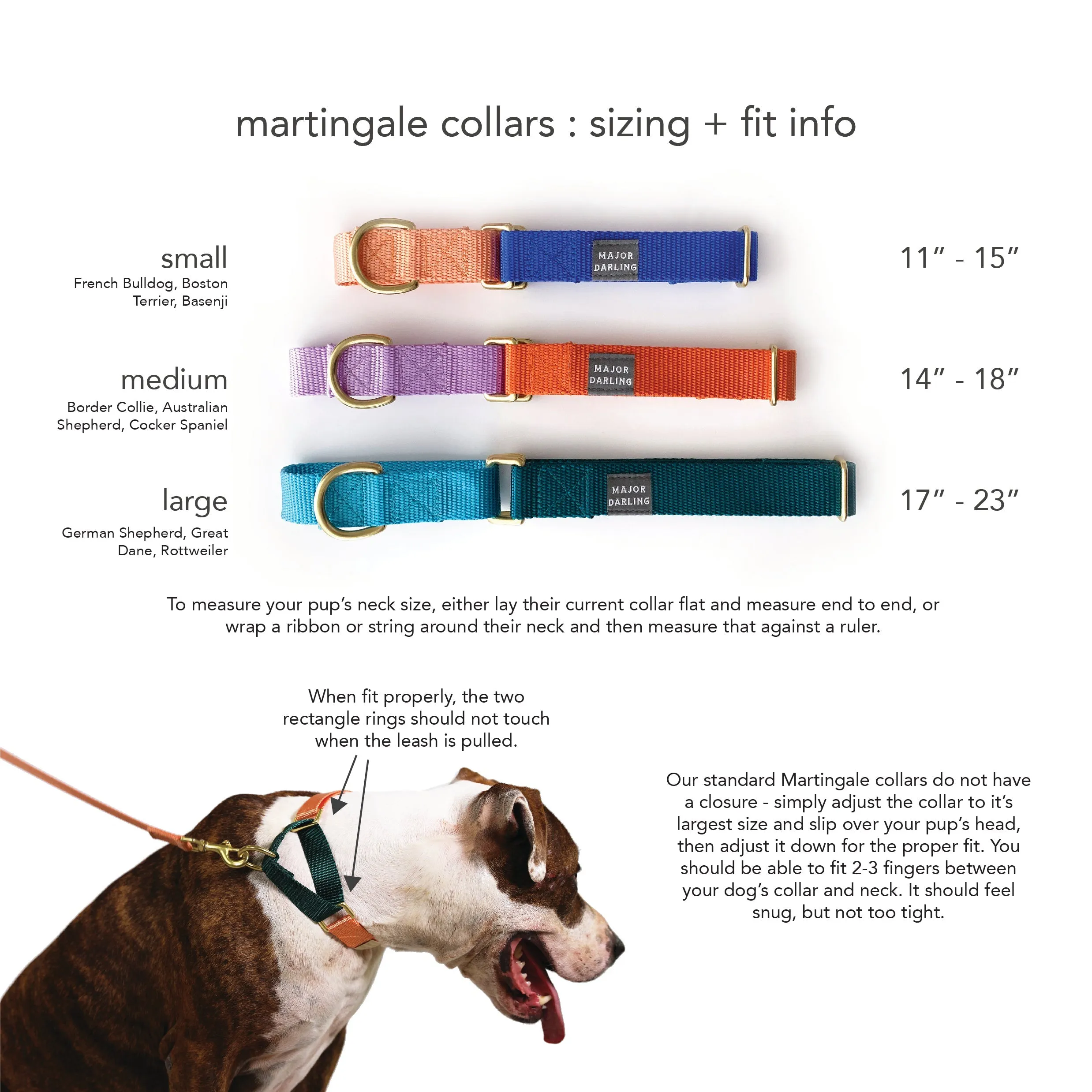 Martingale Collar by Major Darling