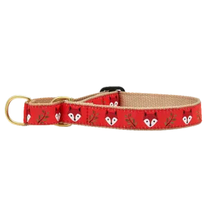 Martingale Collar | Foxy