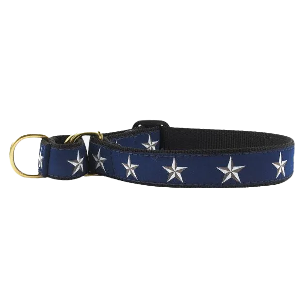 Martingale Collar | North Star