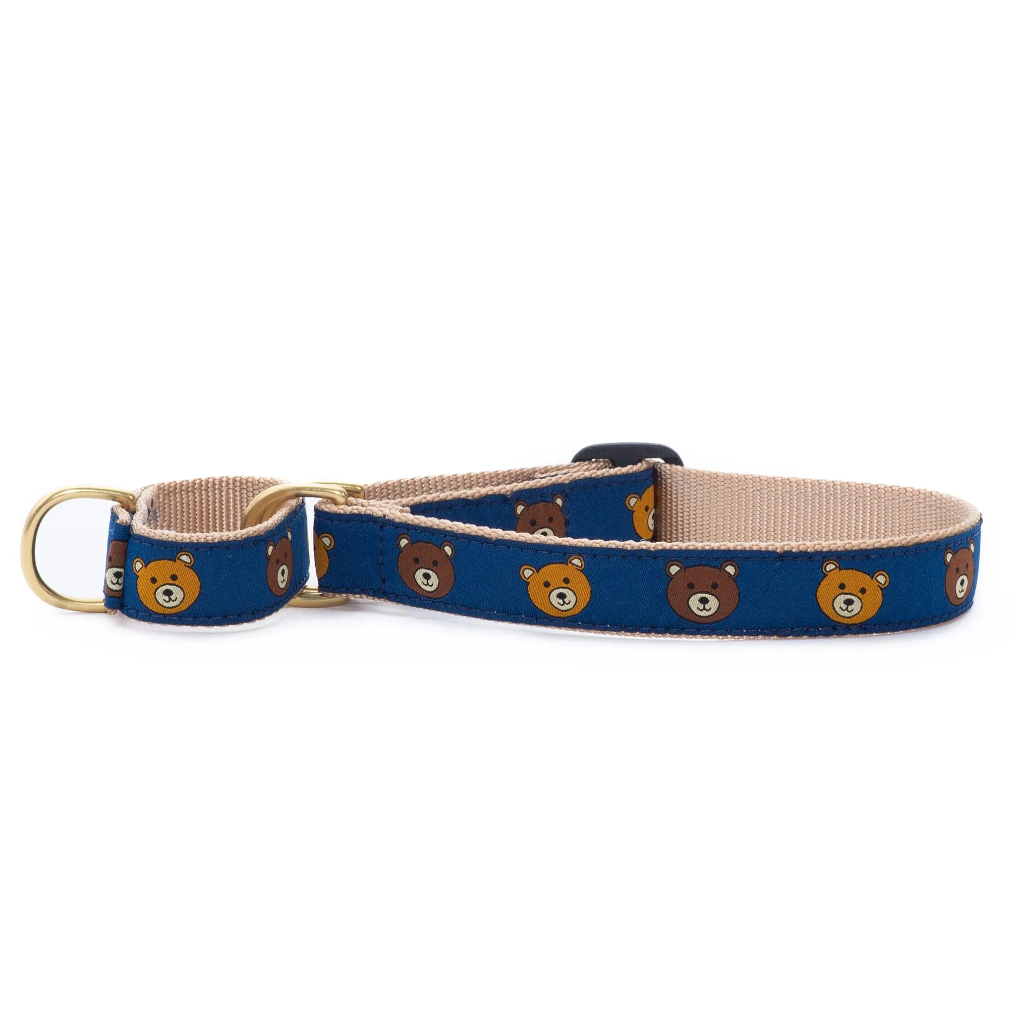 Martingale Collar | Teddy Bear