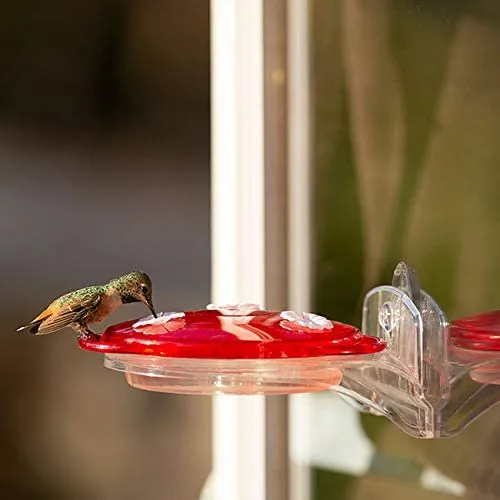 More Birds 3-in-1 Hummingbird Feeder 6 oz.