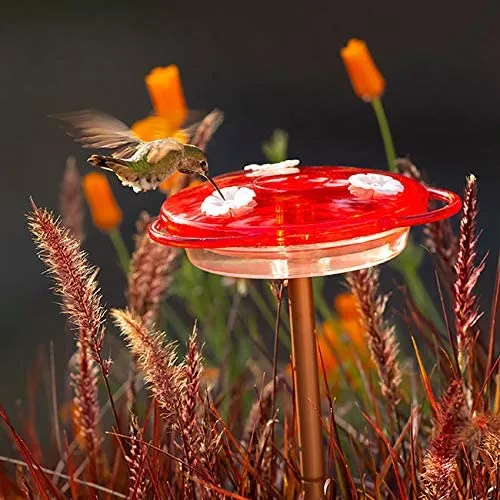 More Birds 3-in-1 Hummingbird Feeder 6 oz.