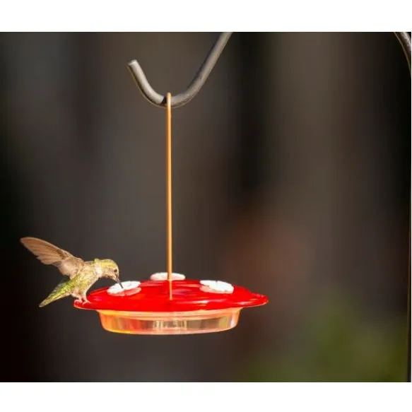 More Birds 3-in-1 Hummingbird Feeder 6 oz.