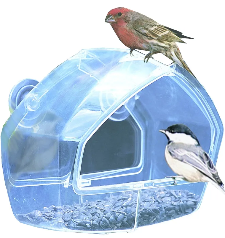 Perky-Pet 348 Window Feeder, 8 oz, Plastic, Clear, 7.78 in H :EA: QUANTITY: 1