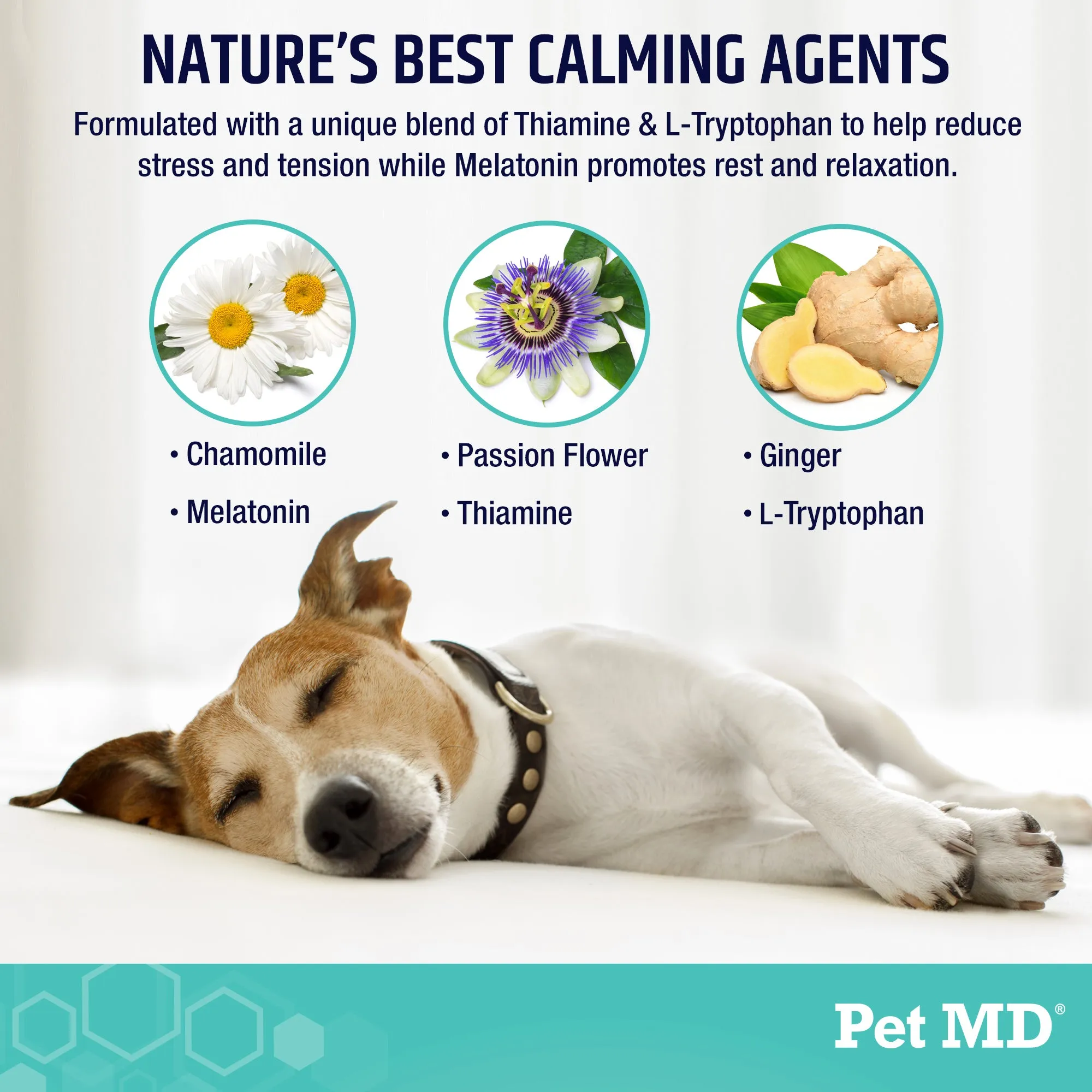 Pet MD Calming Chews for Dogs - 60 ct