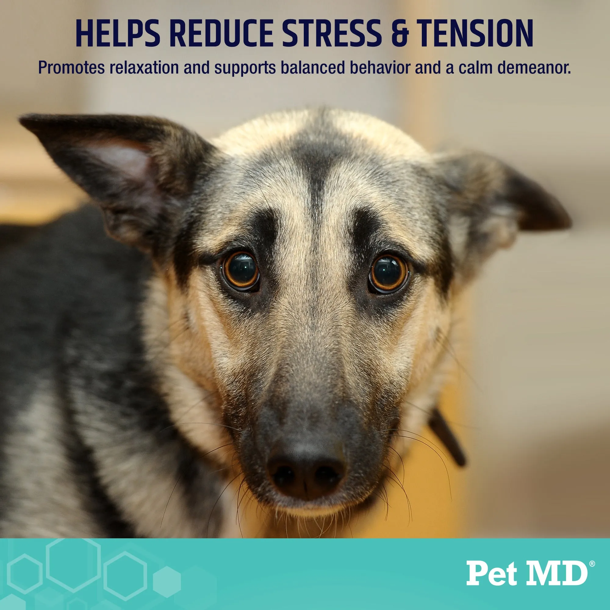 Pet MD Calming Chews for Dogs - 60 ct