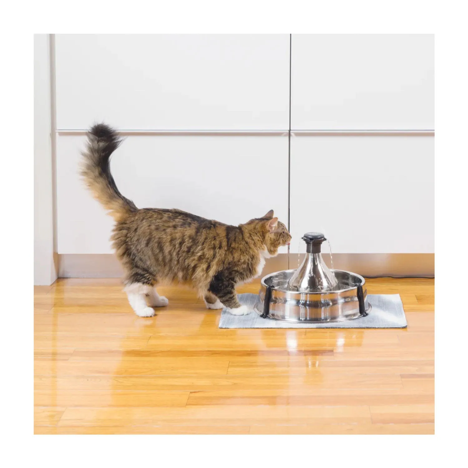 PetSafe Drinkwell 360 Stainless Steel Pet Fountain 3.8Litre