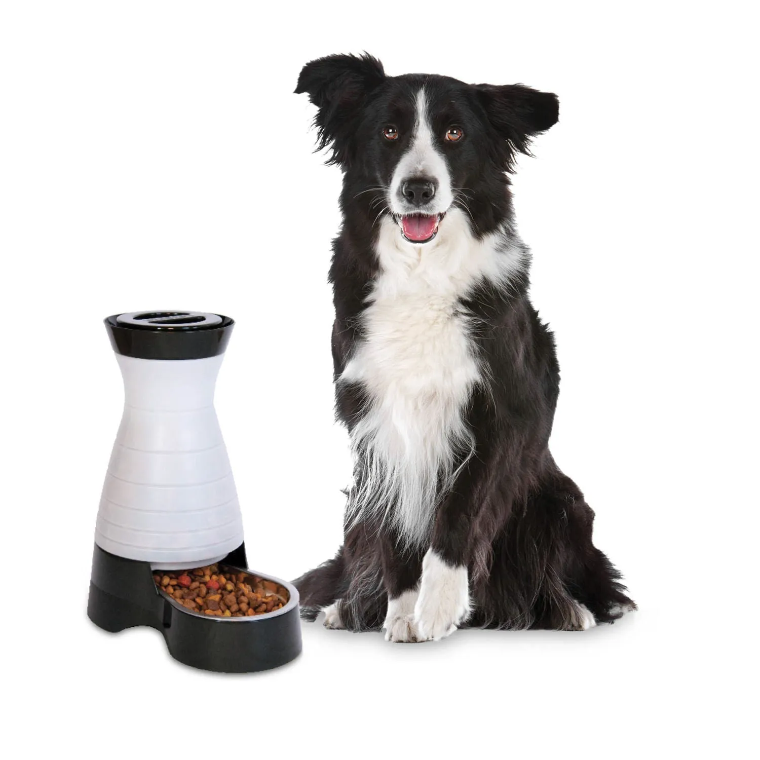 PetSafe Healthy Pet Food Station