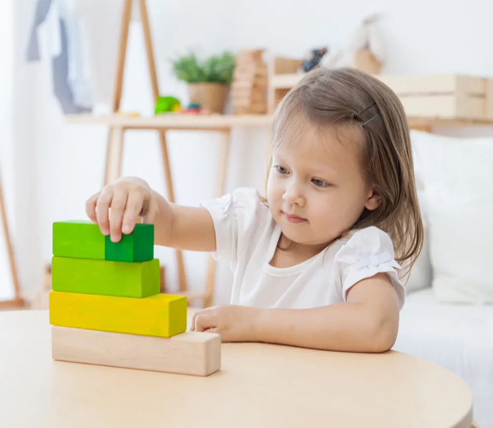 Plan Toys Ordering Blocks