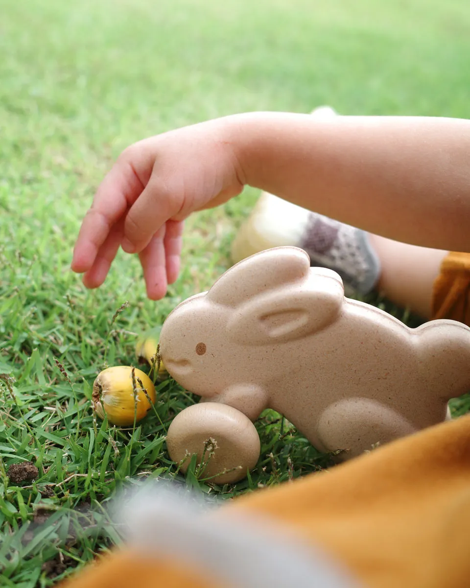 Plan Toys Push Along Bunny - Pink