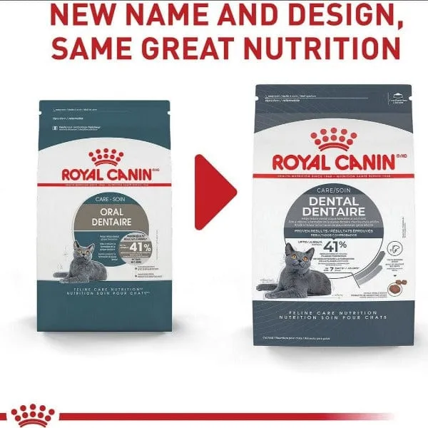 Royal Canin Dental Care Adult Dry Cat Food