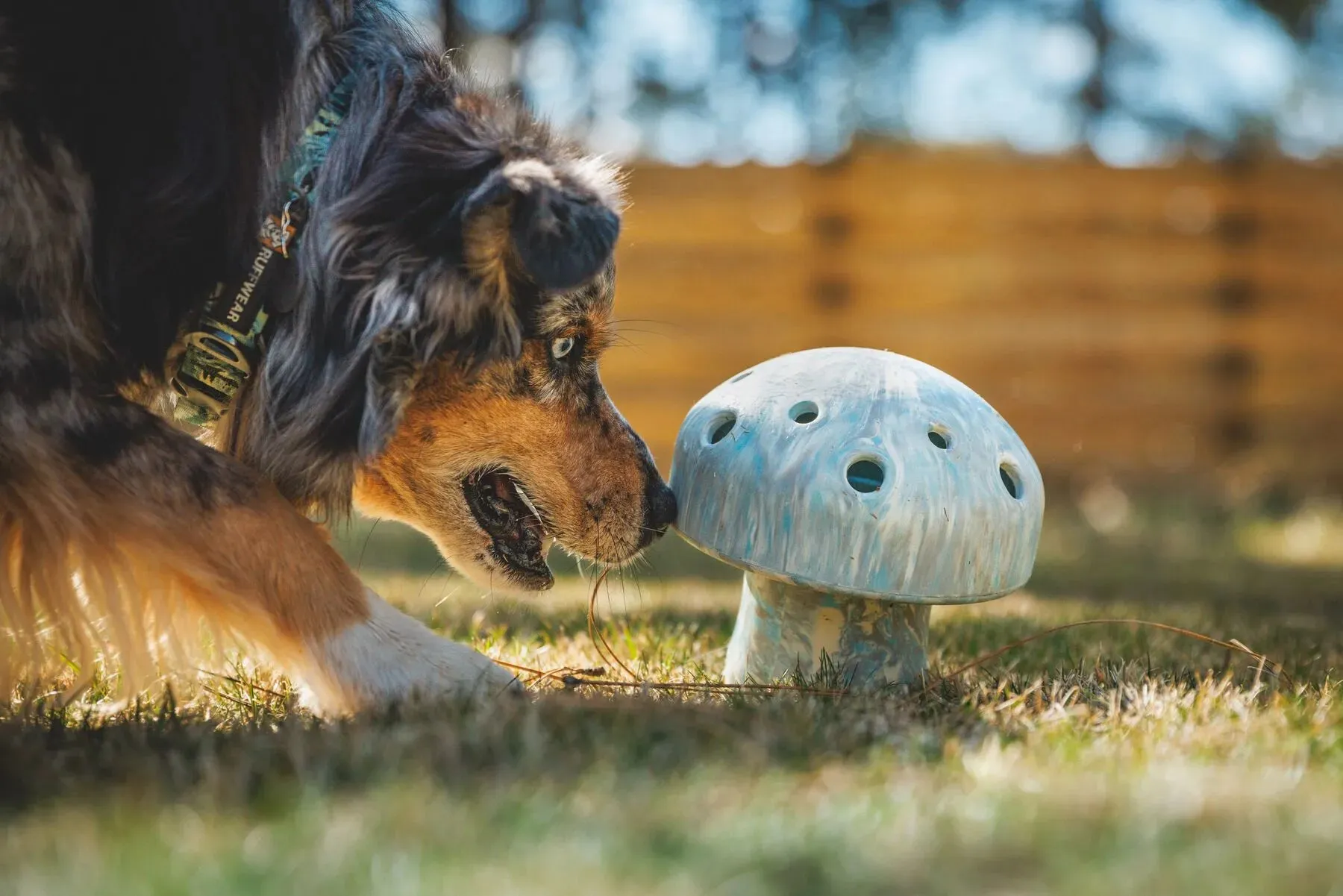 Ruffwear Porcini™ Chew Resistant Slow Feeding Dog Toy (Gray Sky)