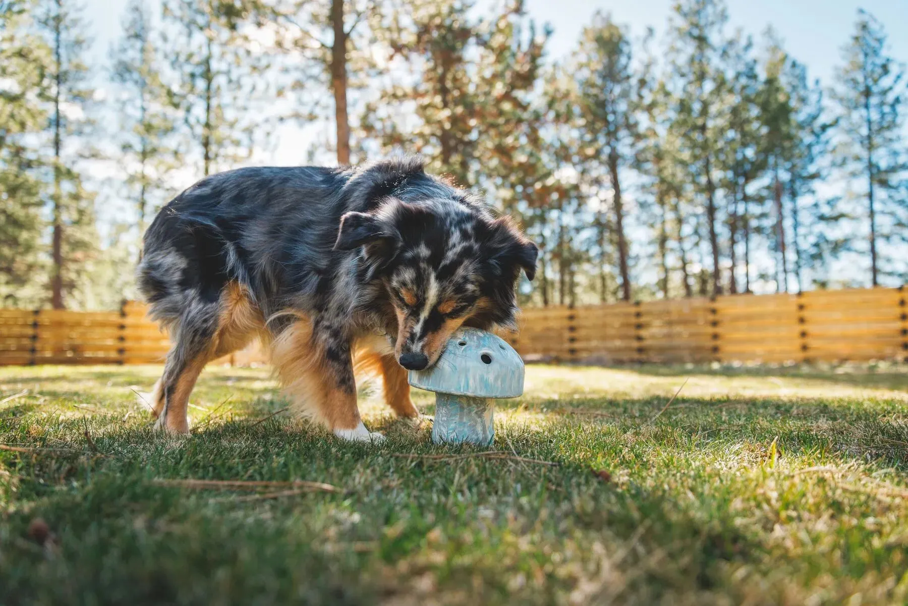 Ruffwear Porcini™ Chew Resistant Slow Feeding Dog Toy (Gray Sky)