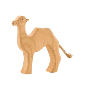 Small Camel (20902) - Ostheimer