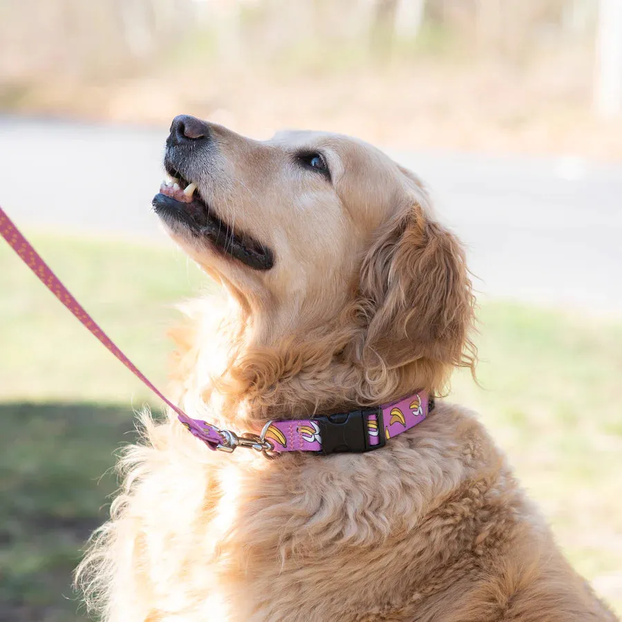 Sport Collar | Bananarama