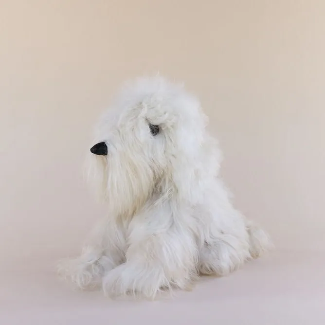 Toy Dog - Suri - Medium